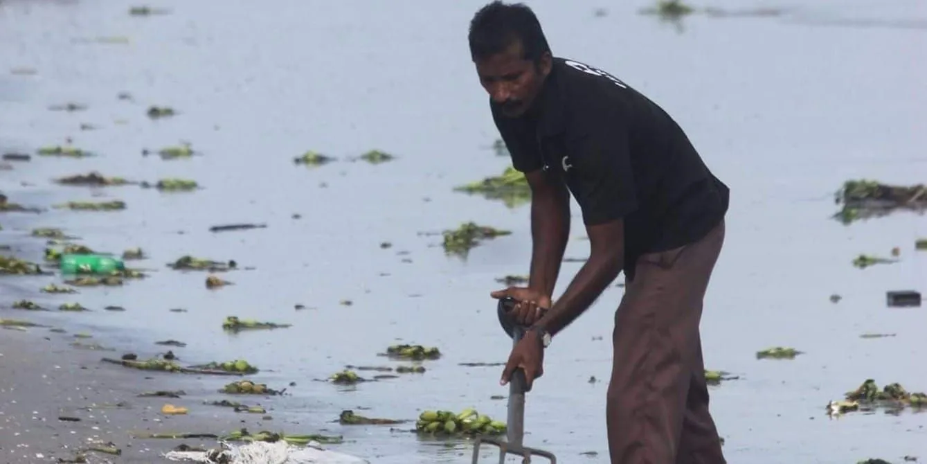 George P J stands ankle-deep in shallow water, leaning on a long-handled fork to clear floating weed and plastic litter from the surface.
